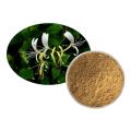 Lonicera Japonica Honeysuckle Extract Chlorogenic Acid