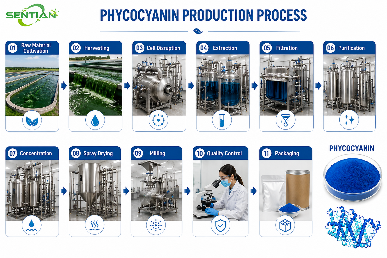 Phycocyanin1