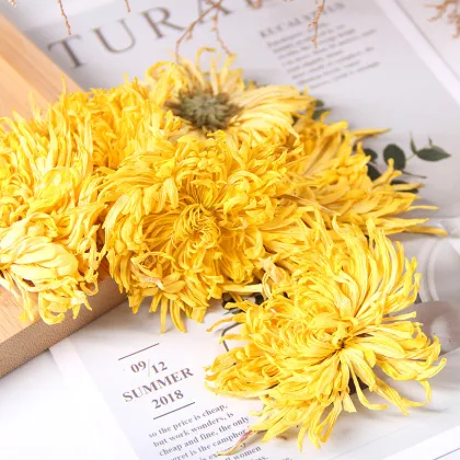 Best Selling Chinese Traditional Herbs Tea - Golden Silk Chrysanthemum