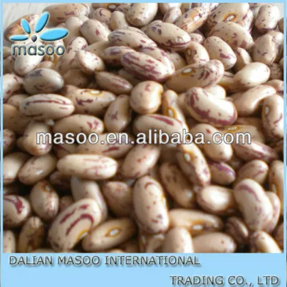 Good Quality Bean, kidney beans, many kinds of Beans