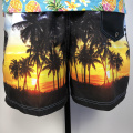 SunSet Beach Pompled Boardshorts