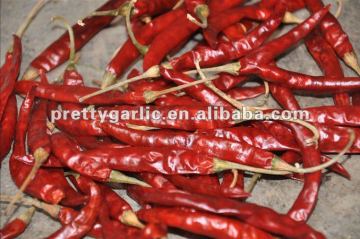 Indian dried chili with stem 334