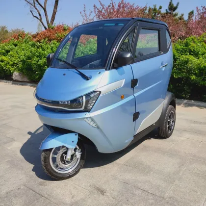 Clean New Energy Lithium Battery Electric Passenger Mini Car