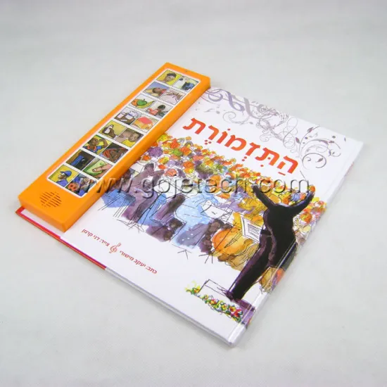 Electronic sound book