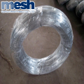 High Carbon Flat Galvaniserad Steel Wire Sales