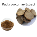 Buy online active ingredients Radix curcumae Extract powder