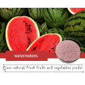 Spray Dried Watermelon Powder for Food Supplements