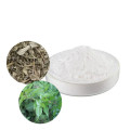 Plant Extract vine tea extract