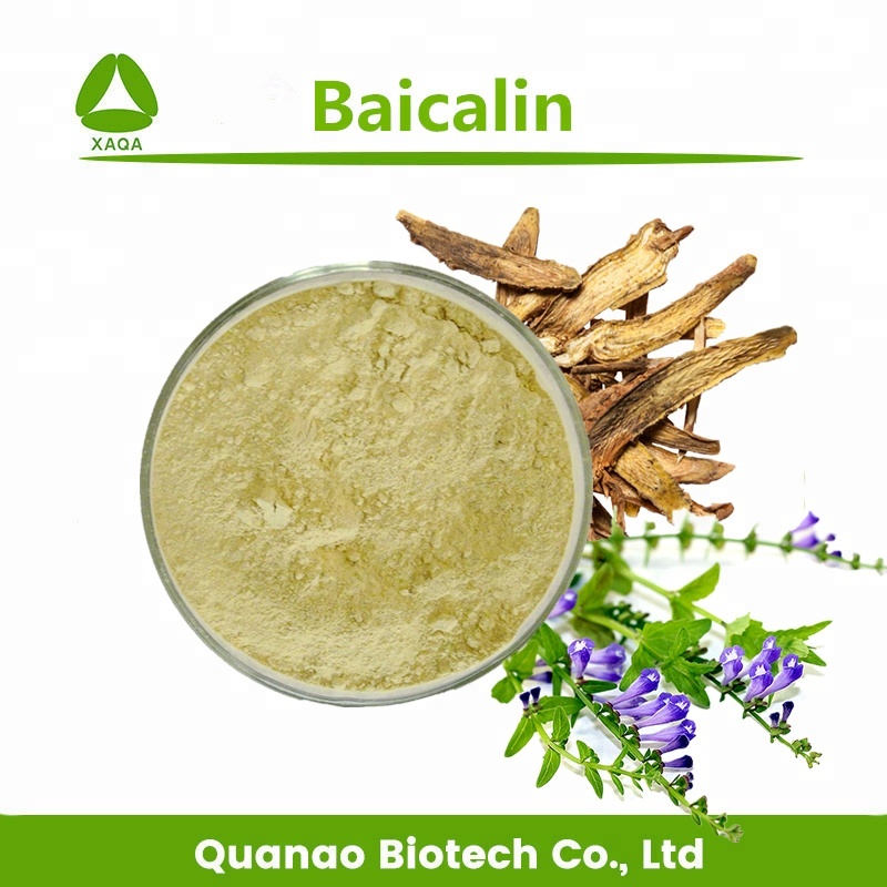 Scutellaria Baicalensis Root Extract Baicalin 85% HPLC