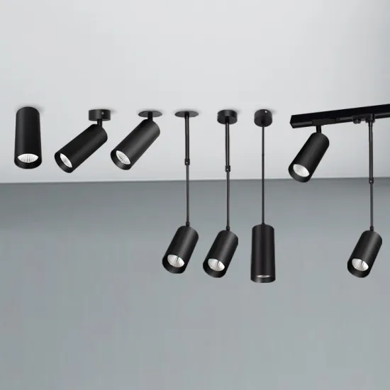 Aluminum Surface Mounted Rail Spotlight Magnetic Track Light