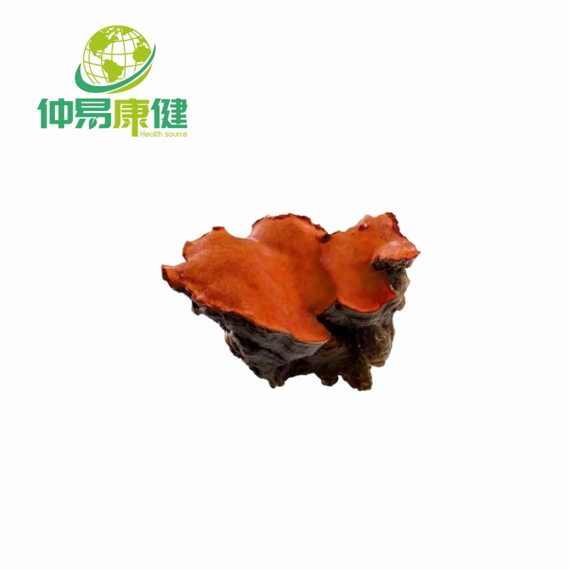 Antrodia camphorata extract Polysaccharides 30%