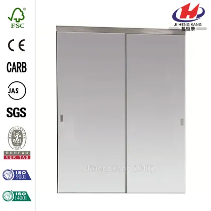Trim Line Beveled Mirror Bright Clear Sliding Door