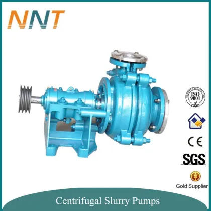 Centrifugal Slurry Pump Equivalent World Famous Brand