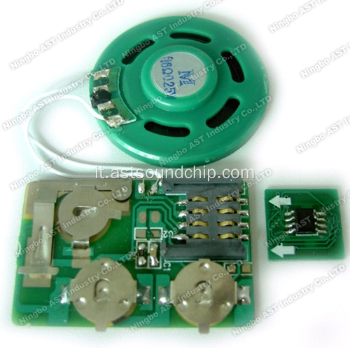 Modulo audio fai-da-te, modulo programmabile, registrazione vocale