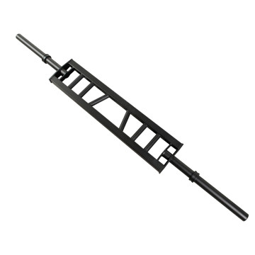 DW Sports 2022 New Lifting Equipment: Explore the Latest Black Swiss Barbell Bars