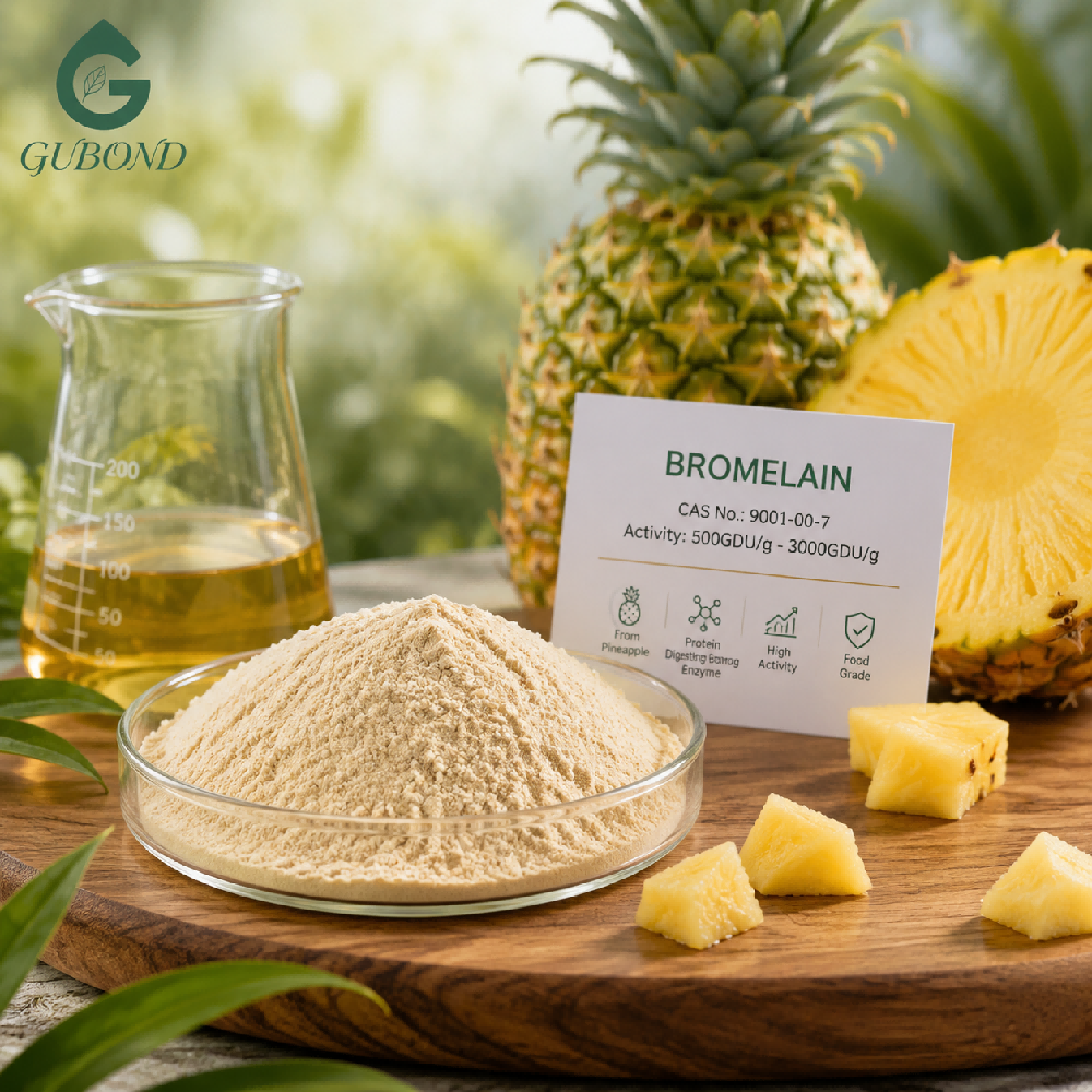 Bromelain Enzyme Powder Bulk