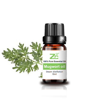 Wholesale Natural Mugwort Fragrance Essential Oil