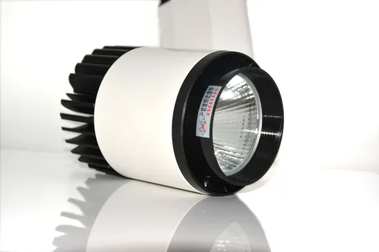 30 Degree Lustron 5 Cob Led Track Light Aggd-1200-20w For Commecial