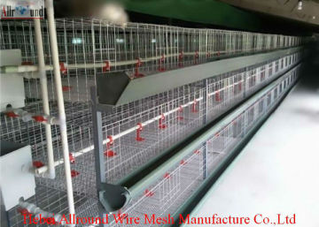 automatic equipment for broiler  