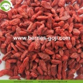 Factory Supply Natural Nutrition Dried Fruits Goji Berry