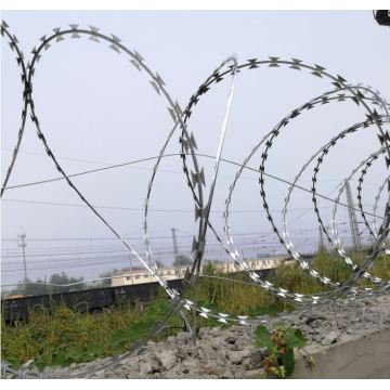 Military Concertina Razor Wire hot sale