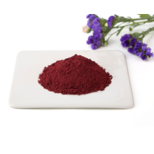 Pure Natural Lycopene Syrup Lycopene Tomato Powder