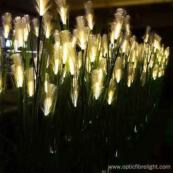 Reed fiber optic light for floor