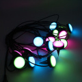 Bluetooth App Controlled LED Lawn String