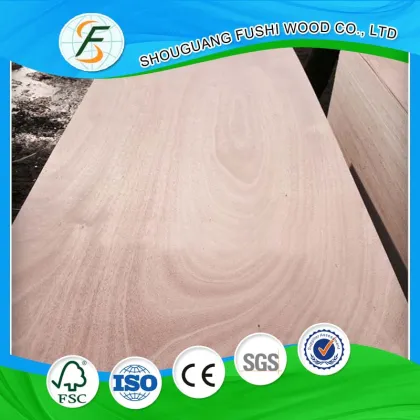 ASH Plywood Door Skins