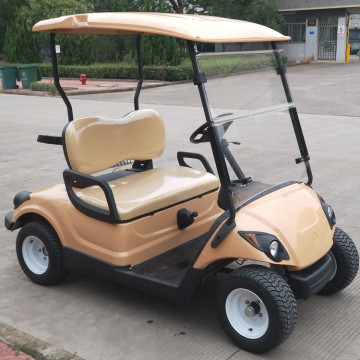 good price 2 seats cheap golf kart sale