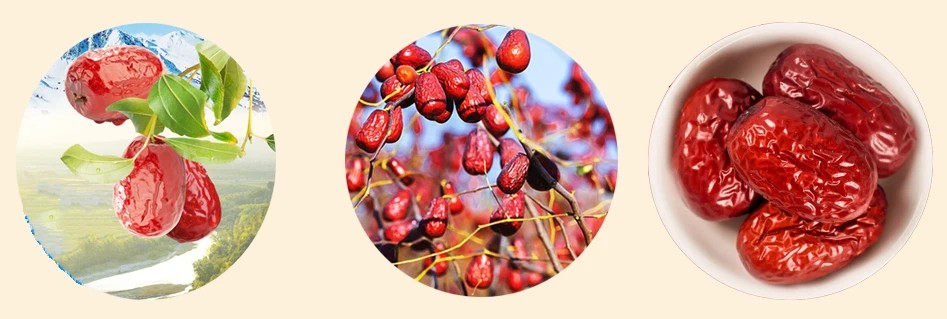 Jujube Extract (2)