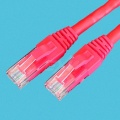 Del Cable sin blindar Cat6 Assmebly