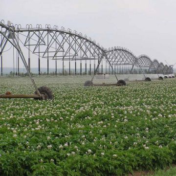 Automatic Irrigation Machine