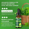 Immune Support Reduce Appetite Chlorophyll Liquid Drops