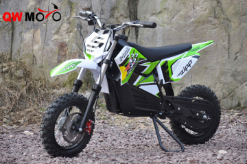 2016 Hot selling Cheap battery powered 500/800W fat mountain electric bike