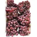 De-kalidad na Fresh Grapes Clenson