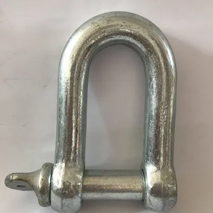 High Tensile D Shackles Forged Anchor Shackles