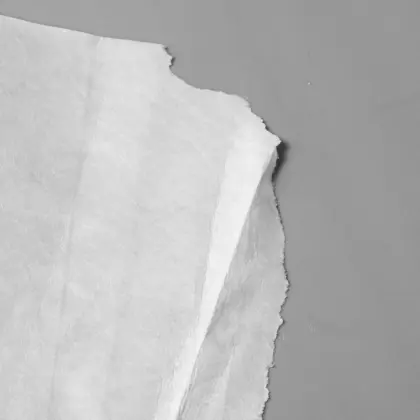 Non Woven Polypropylene Fabric