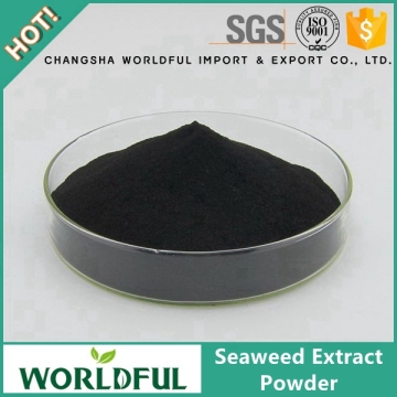 Worldful Kelp Source Organic Fertilizer Seaweed Fertilizer Powder