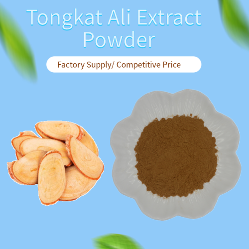 Tongkat Ali Extract 100:1 Tongkat Ali Extract Powder 100:1 200:1 Factory