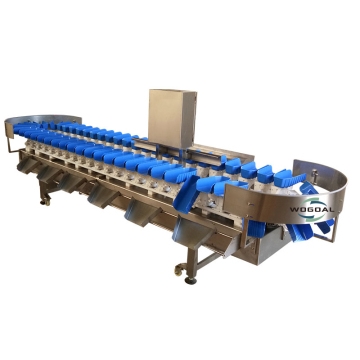 Automatic Fruit and Vegetable Grading and Sorting Machine