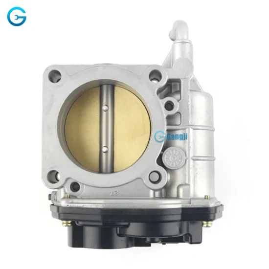 Low Moq OEM 16119-JA00A Throttle Body for Nissan