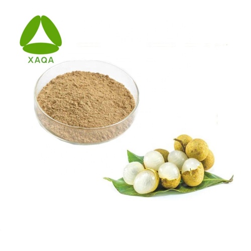 Arillus Longan Extraktpulver 100% natürlich 10: 1
