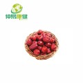 Jujube Extract Powder Polysaccharide 30% 50%