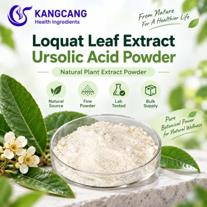 Loquat Leaf Extract Ursolic Acid 98% Powder