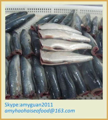 Frozen Fish (Mackerel )