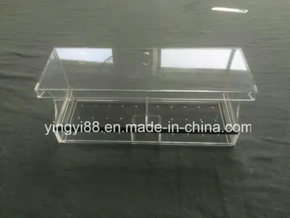 Wholesale Crystal Clear Acrylic Bird Feeder with Suction Cup