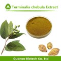 Terminalia Extract/Terminalia Chebula Extract Powder