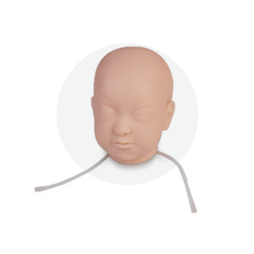 Infant Head Venipuncture Training Model