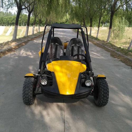 2019 newest 150cc/250cc cheap adults racing go kart